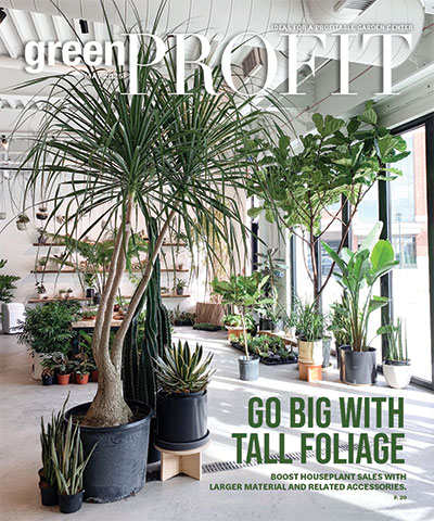 Go Big With Tall Foliage
