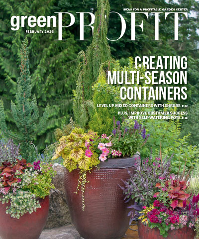 Using Shrubs in Containers