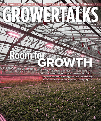 Solid Strategies for Expanding