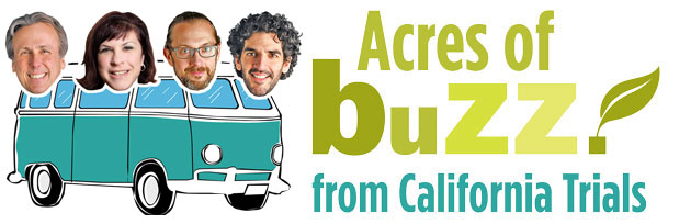 Acres Of Buzz logo