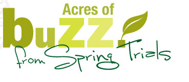 Acres Of Buzz logo