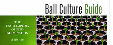 Ball Culture Guide